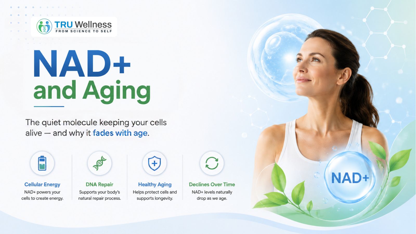 NAD+ and Aging The Quiet Molecule Keeping Your Cells Alive — and Why It Fades With Age
